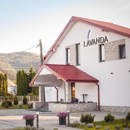 Pensiunea Lavanda, Piatra-Neamt П'ятра-Нямц Екстер'єр фото