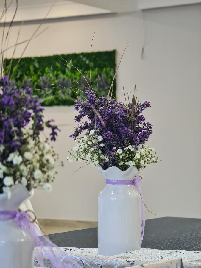 Pensiunea Lavanda, Piatra-Neamt П'ятра-Нямц Екстер'єр фото